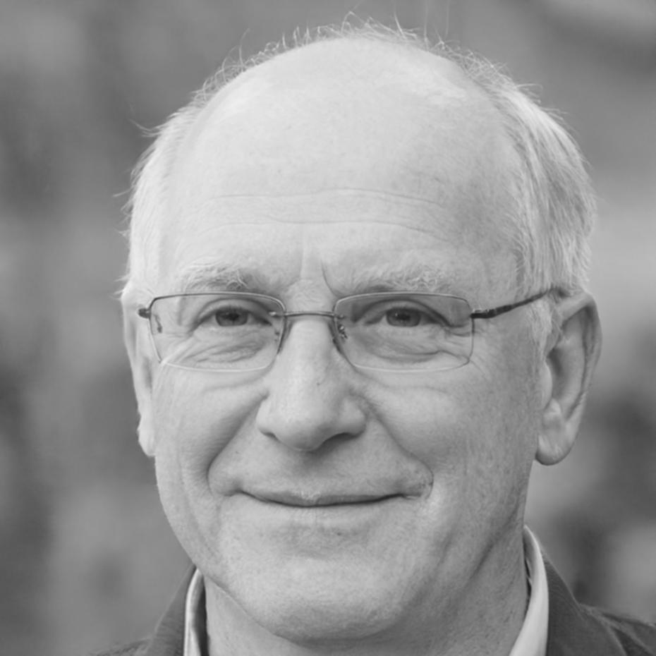 Portret instructor Radu Petrescu